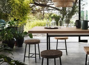 Tendance Urban Jungle