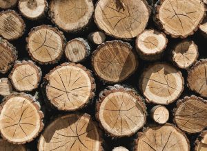Vraiment sain, le bois de palette ?