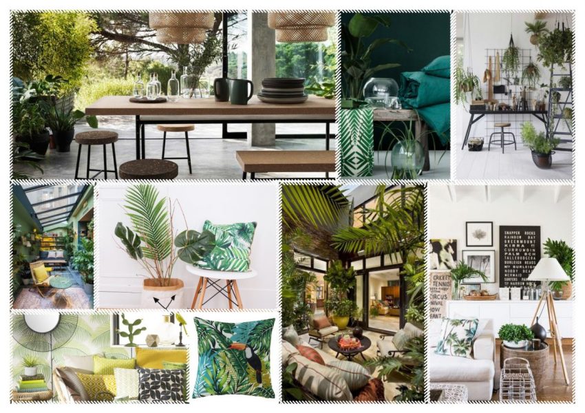 Planche Style Jungle Nature Claire